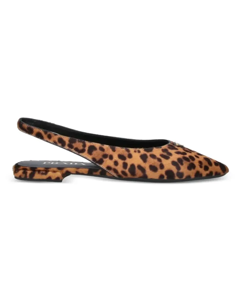 Prada Ballerinas mit Print - Braun Braun
