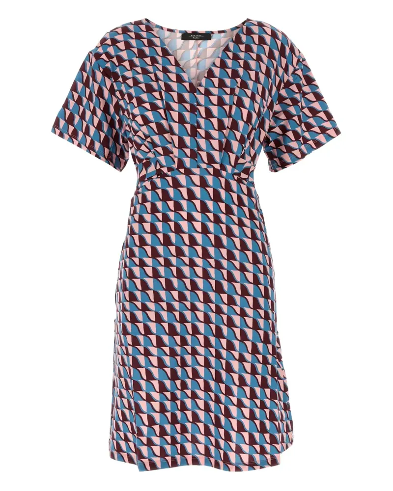 Max Mara Lucas Kleid mit Print - Rosa Rosa