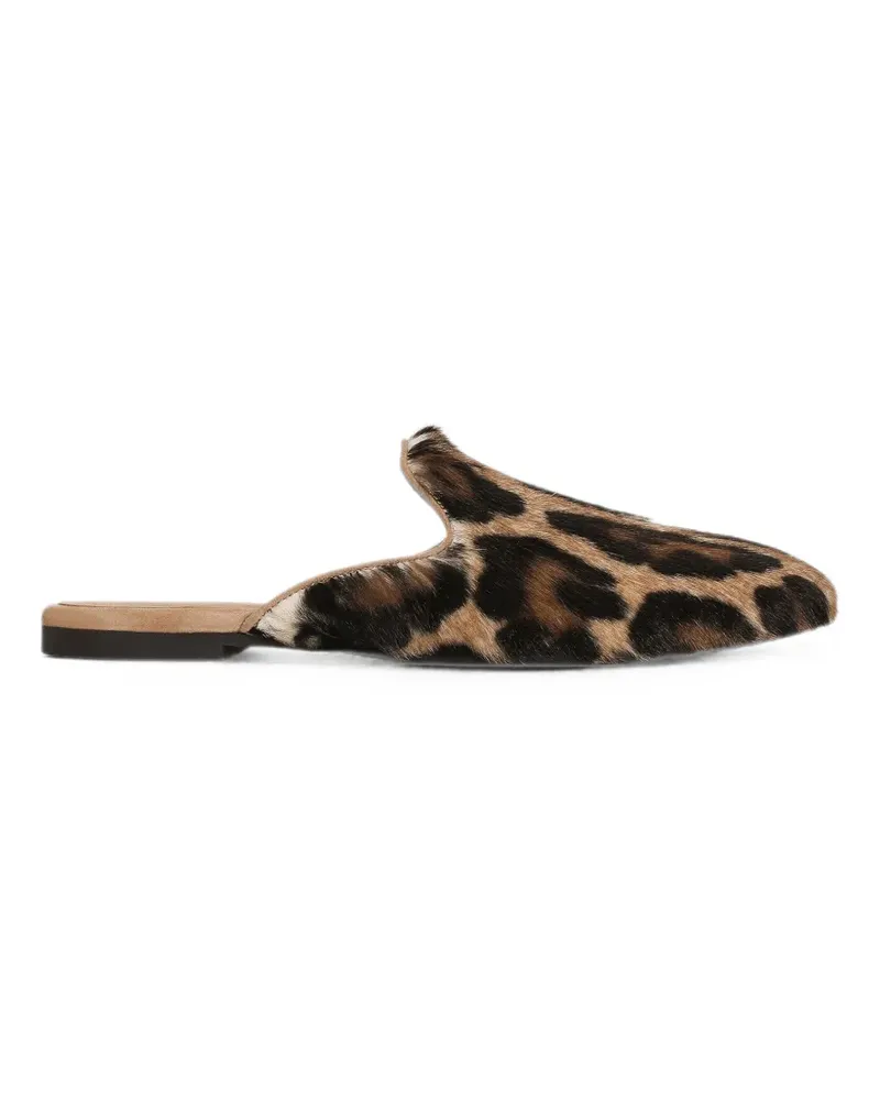 Dolce & Gabbana Leo Mules - Braun Braun