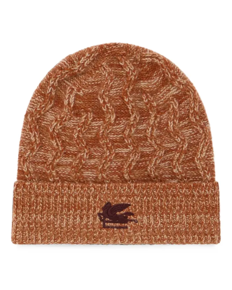 Etro cashmere beanie with cable detail and Pegaso embroidery - Braun Braun