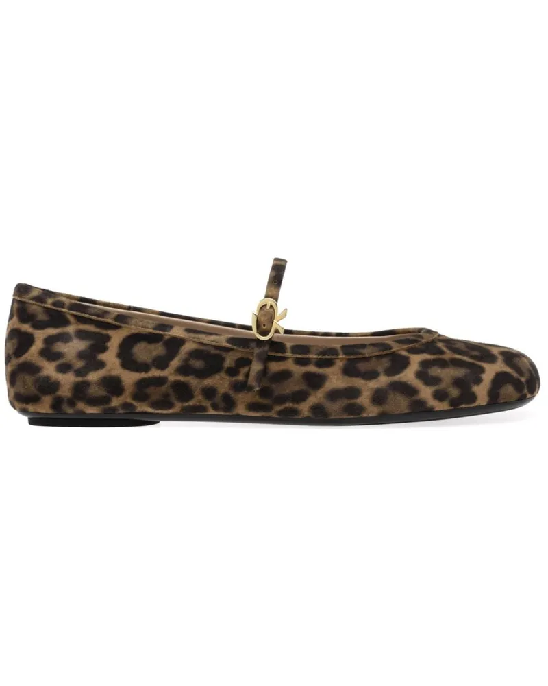 Gianvito Rossi Carla Ballerinas - Braun Braun