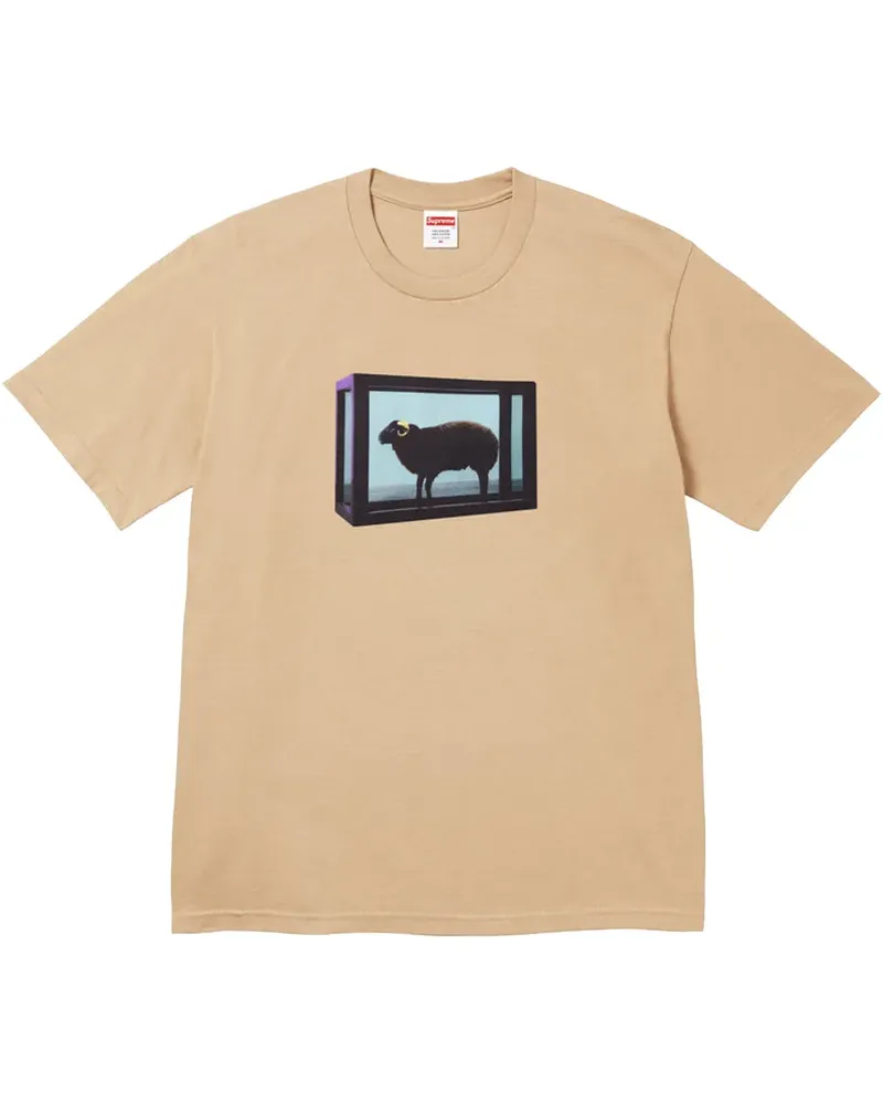 Supreme Being x Damien Hirst T-Shirt mit Print - Nude Nude