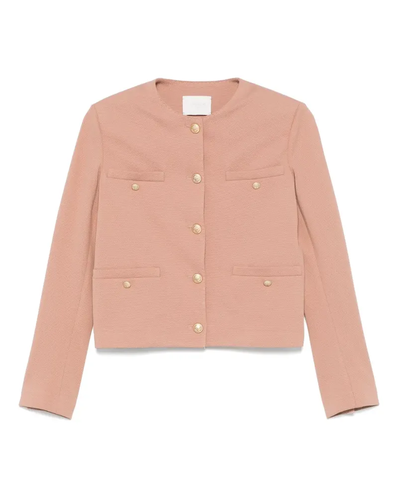 CIRCOLO 1901 Strukturierte Jacke - Braun Braun