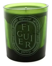 Diptyque Figuier' Duftkerze Grün