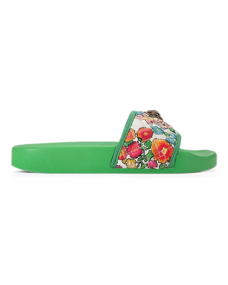 Kurt Geiger Meena Eagle slides - Grün Grün