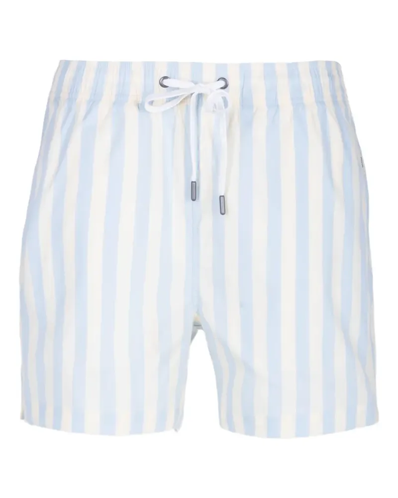 Onia Gestreifte Charles Badeshorts - Nude Nude