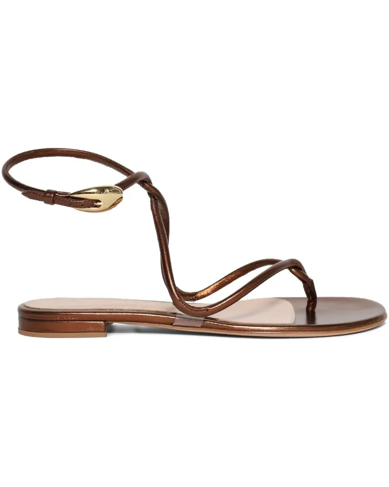Gianvito Rossi Mamba Riemensandalen - Braun Braun
