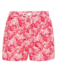 Kiton Badeshorts mit Blatt-Print Rosa