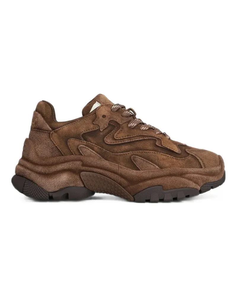 ash Addict Sneakers mit Einsätzen - Braun Braun