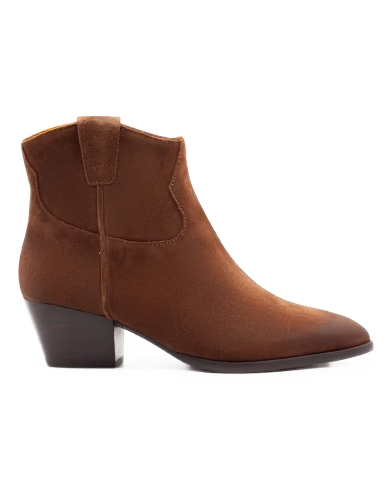 ash Stiefeletten mit spitzer Kappe - Braun Braun
