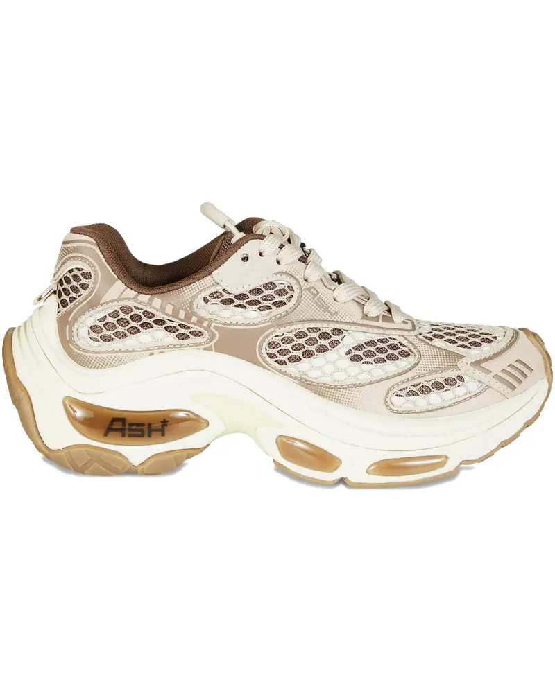 ash Dragon 08 Sneakers - Braun Braun