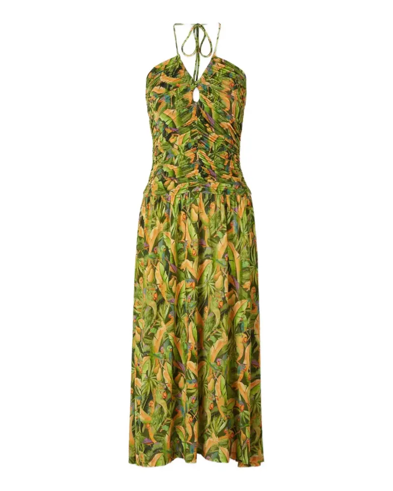 FARM Rio Green Forest Midikleid mit Papagei-Print - Grün Grün