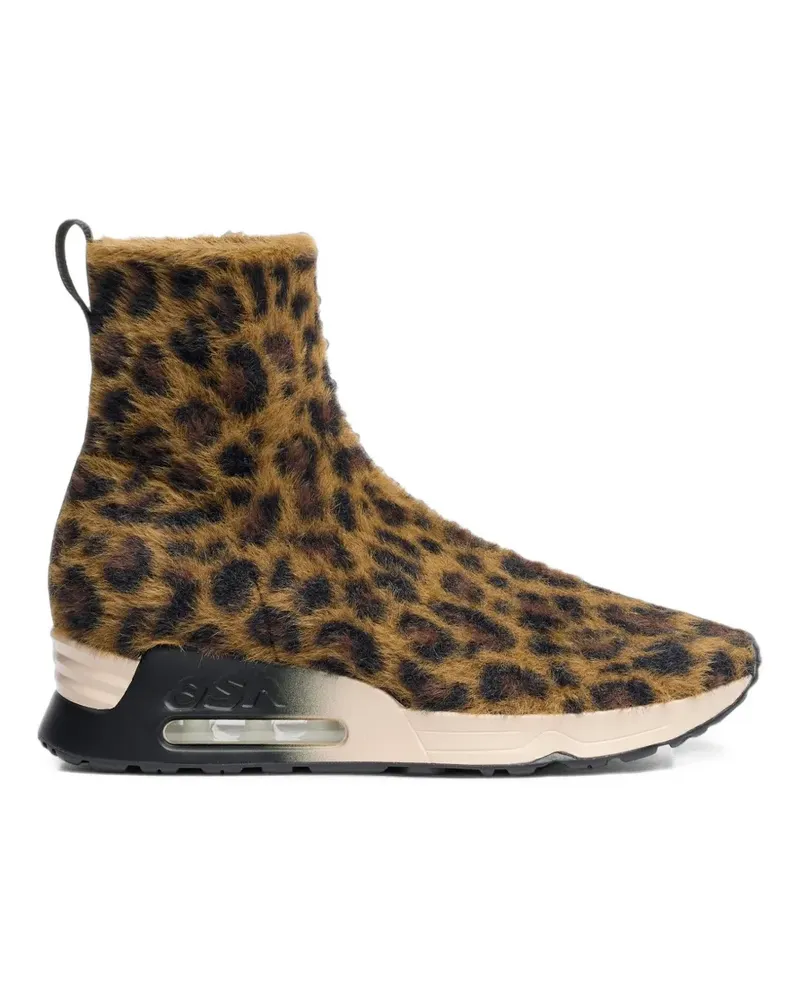 ash Lio High-Top-Sneakers mit Leopardenprint - Braun Braun