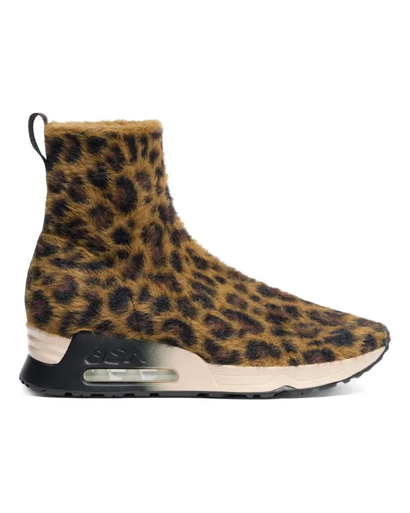 ash Lio High-Top-Sneakers mit Leopardenprint - Braun Braun