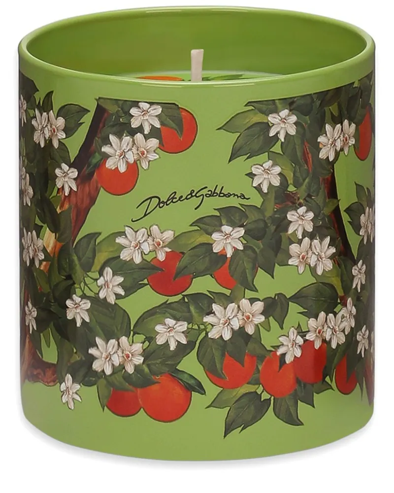 Dolce & Gabbana Klassische Duftkerze - Grün Grün