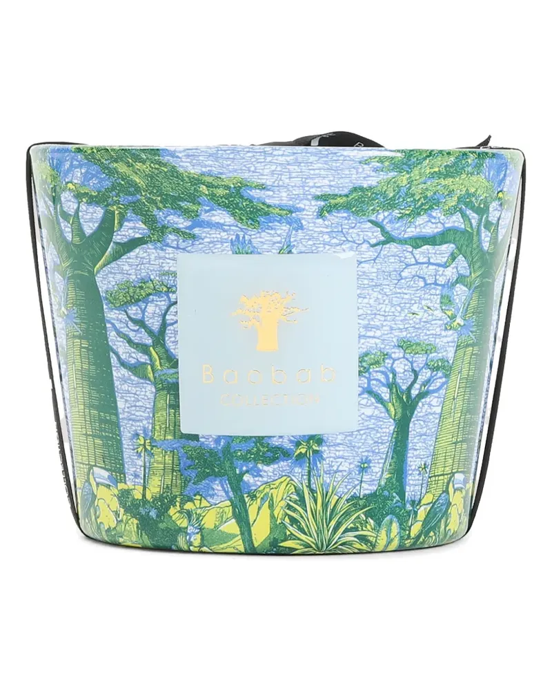 Baobab Collection Sacred Trees Yarani Duftkerze - Blau Blau