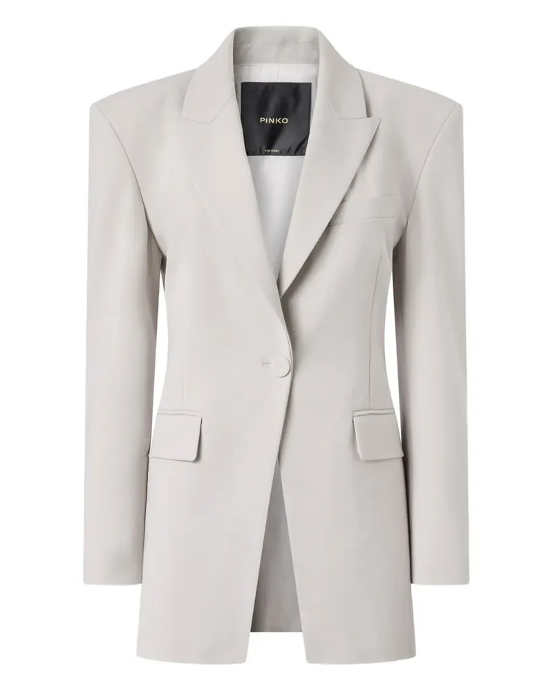 Pinko Gefütterte Jacke mit Knöpfen - Grau Grau