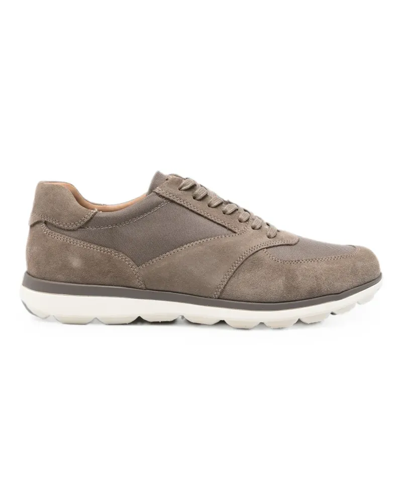 Geox Spherica Ec12 panelled sneakers - Grau Grau