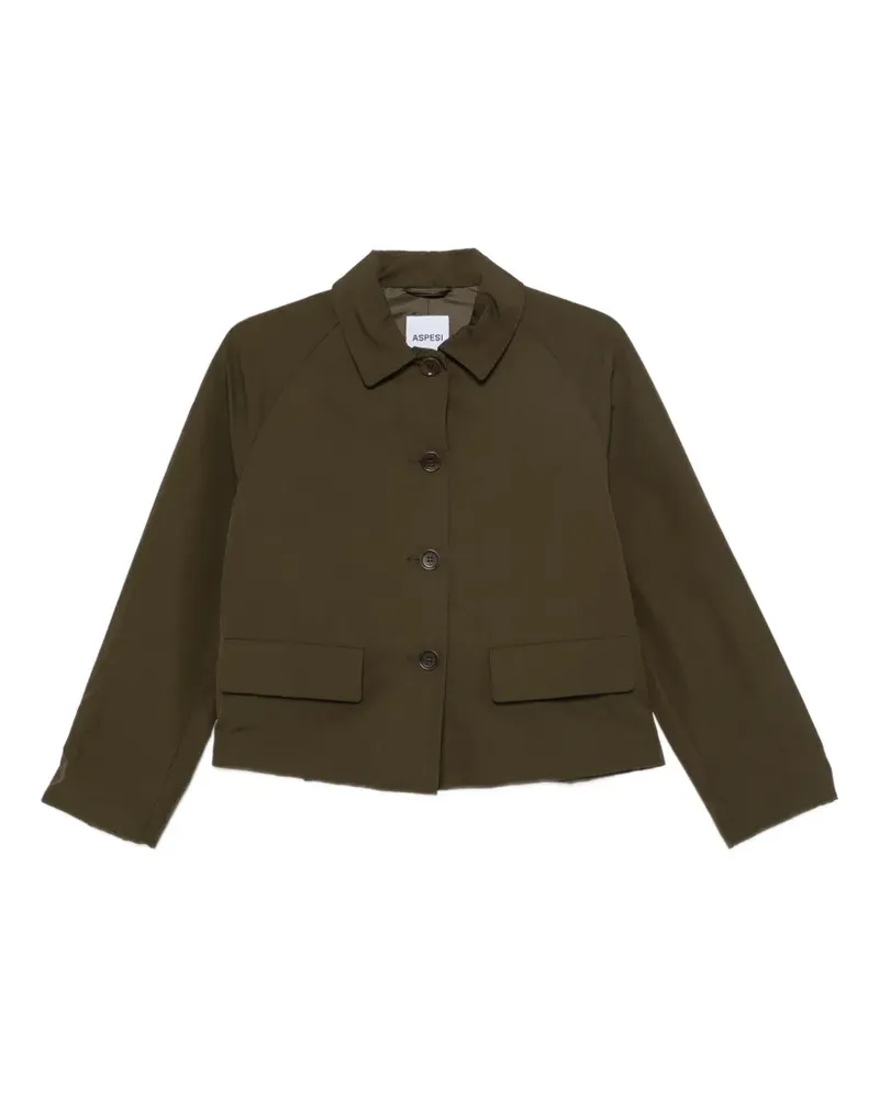 ASPESI long-sleeve button-fastening jacket - Grün Grün