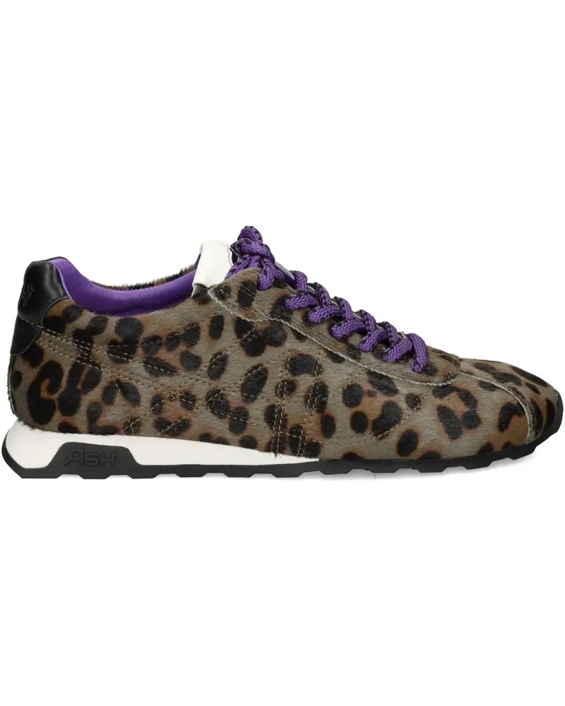 ash leopard-print lace-up sneakers - Braun Braun