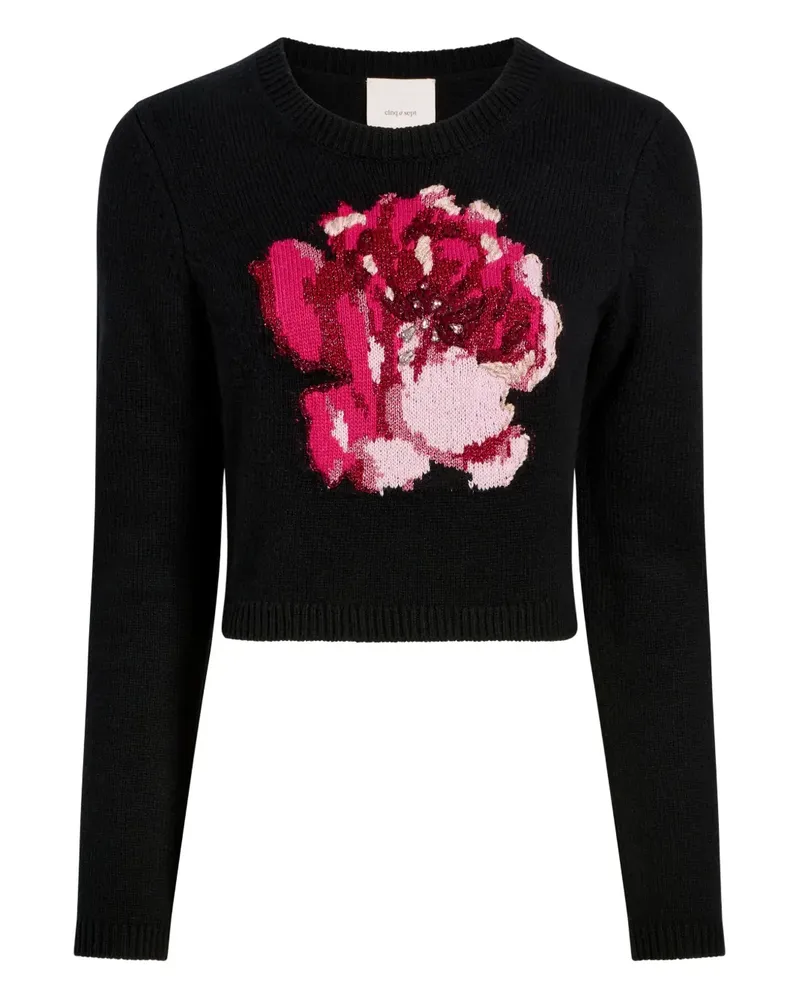 Cinq à Sept Issa rose sweater - Schwarz Schwarz