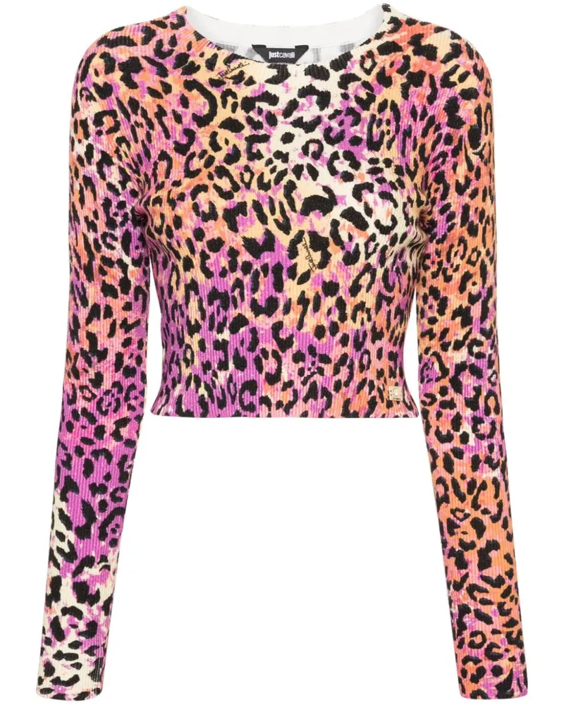 Just Cavalli animal-print cropped knitted top Rosa