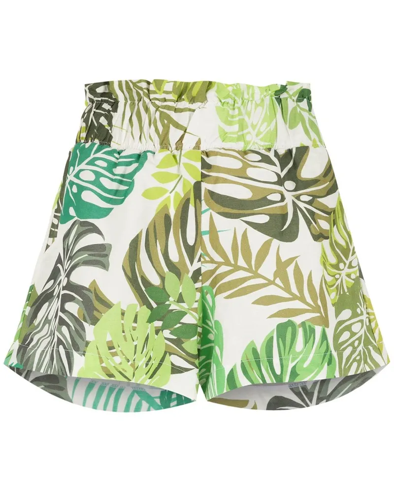 Amir Slama Shorts mit Palmblatt-Print - Grün Grün