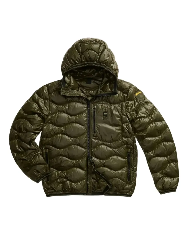 Blauer Gesteppte Kapuzenjacke - Grün Grün