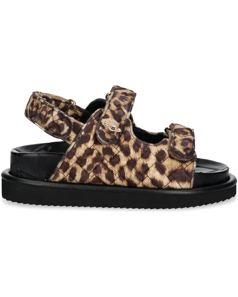 Kurt Geiger Orson Sandalen - Braun Braun