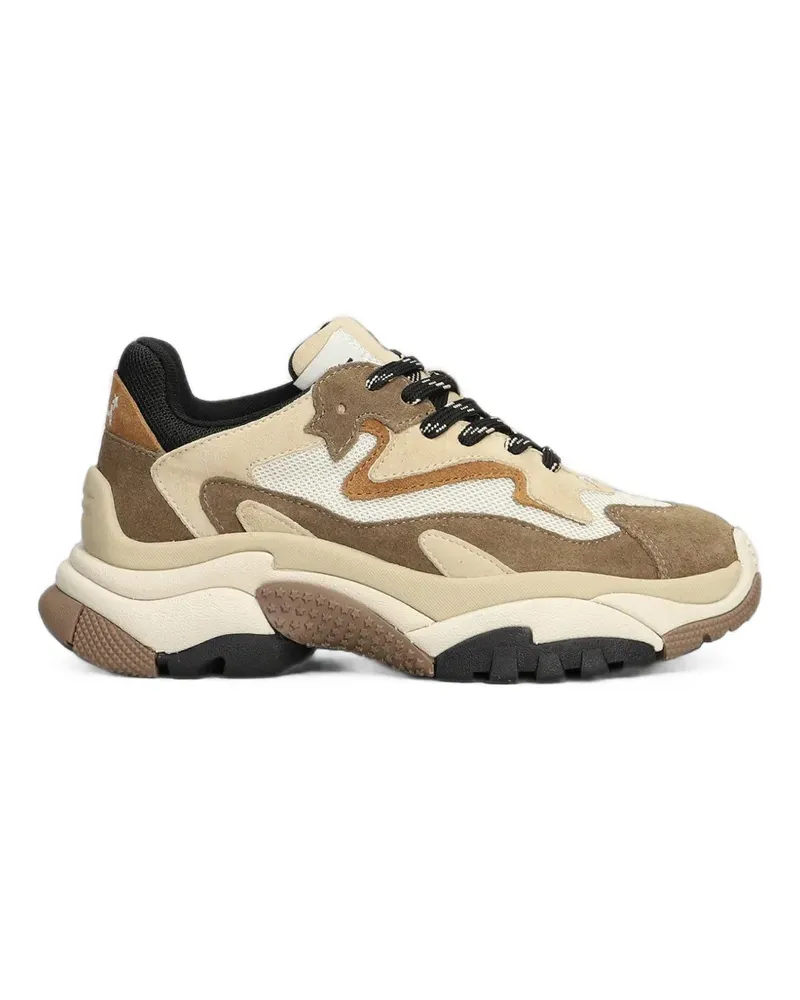 ash Addict Sneakers mit Einsätzen - Braun Braun