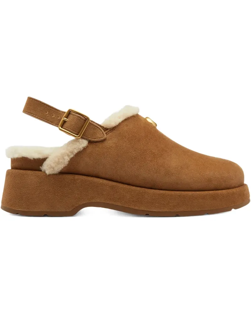 Coach Mules mit Schnallenriemen 60mm - Braun Braun