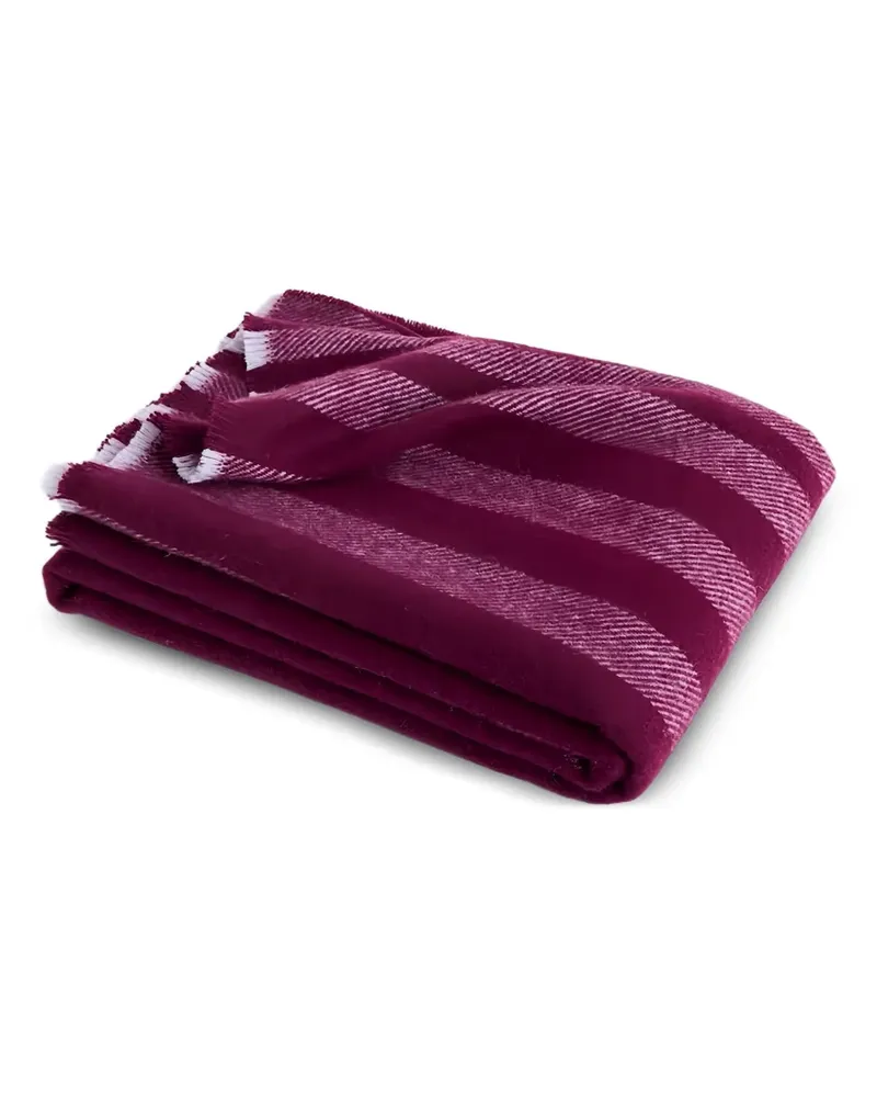 Hay striped fringed blanket - Violett Violett