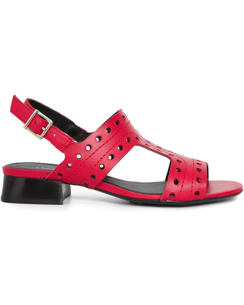 Sarah Chofakian Studio 174 Sandalen mit perforierter Lederschnalle 20mm - Rot Rot