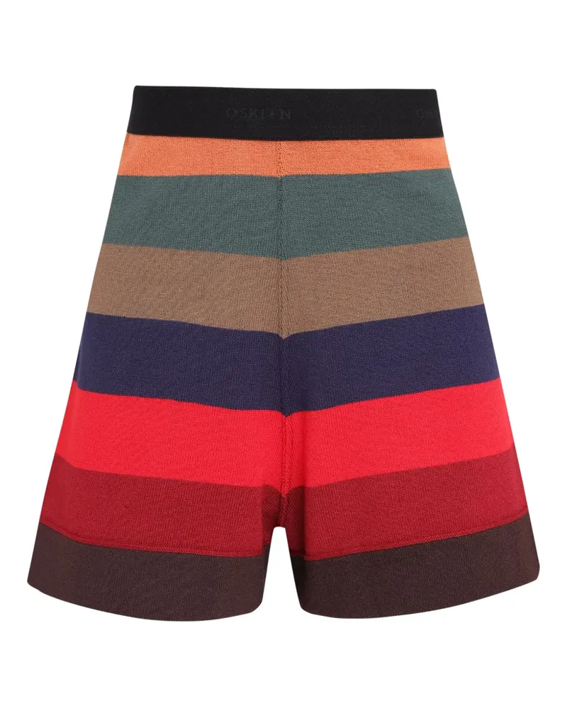 Osklen Stripes Shorts - Braun Braun