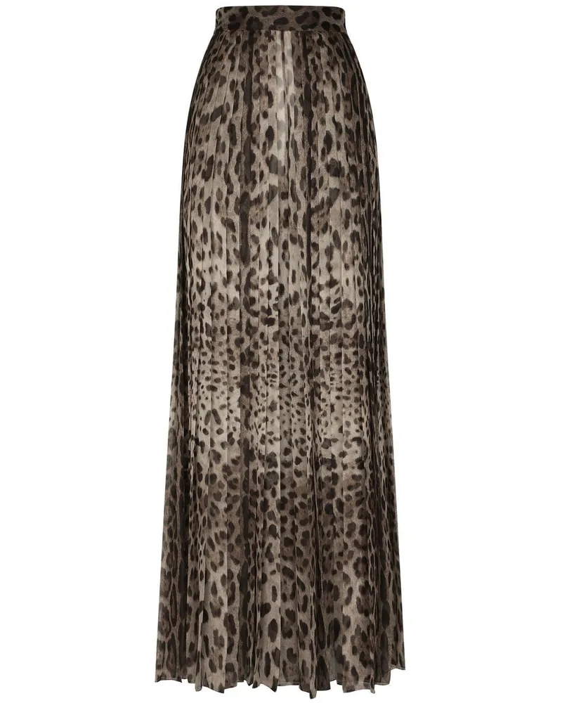 Dolce & Gabbana Culotte mit Leoparden-Print - Schwarz Schwarz