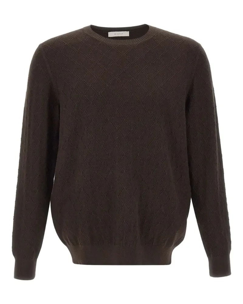 Diktat Pullover mit Rautenmuster - Braun Braun