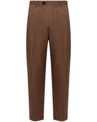 AllSaints Tallis Hose Braun