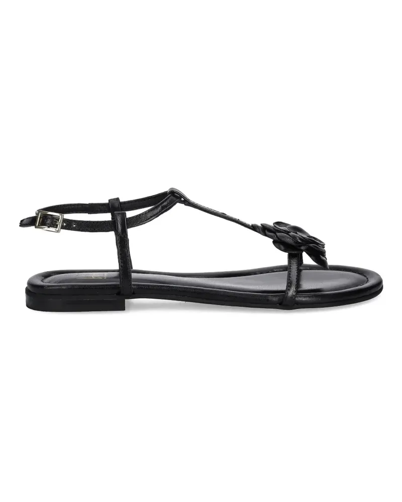 Billi Bi flower-detail T-strap sandals - Schwarz Schwarz