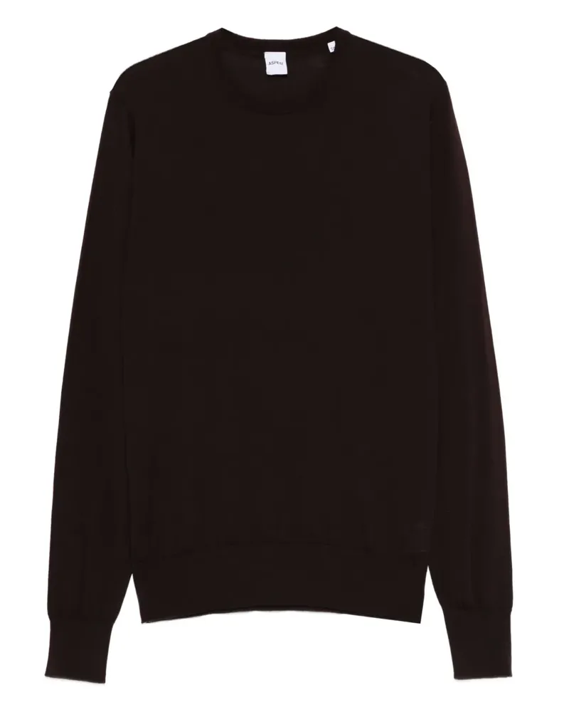 ASPESI Pullover mit Rundhalsausschnitt - Braun Braun