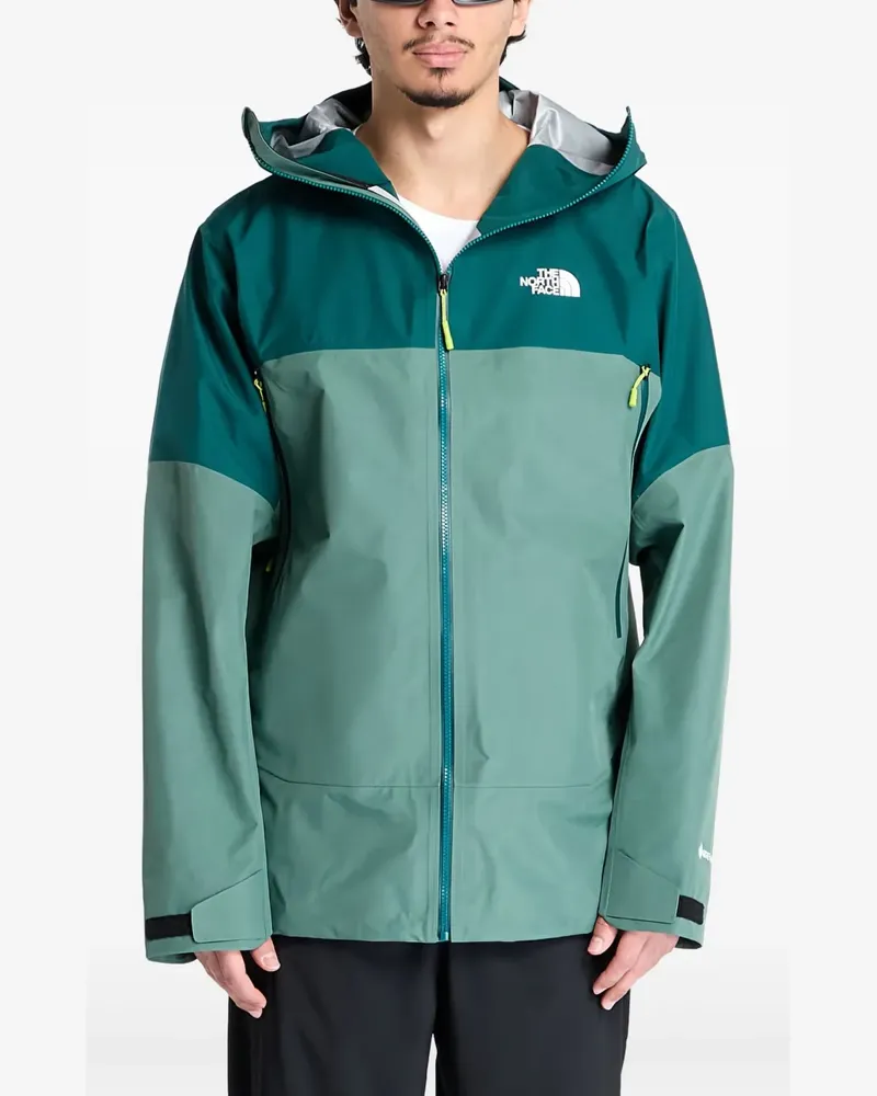 The North Face Wasserdichte Jazzi 3L Gore-Tex Jacke - Grün Grün