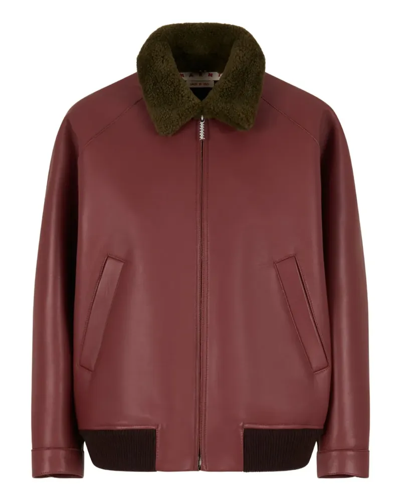 Marni Leder-Bomberjacke mit Kragendetail - Braun Braun
