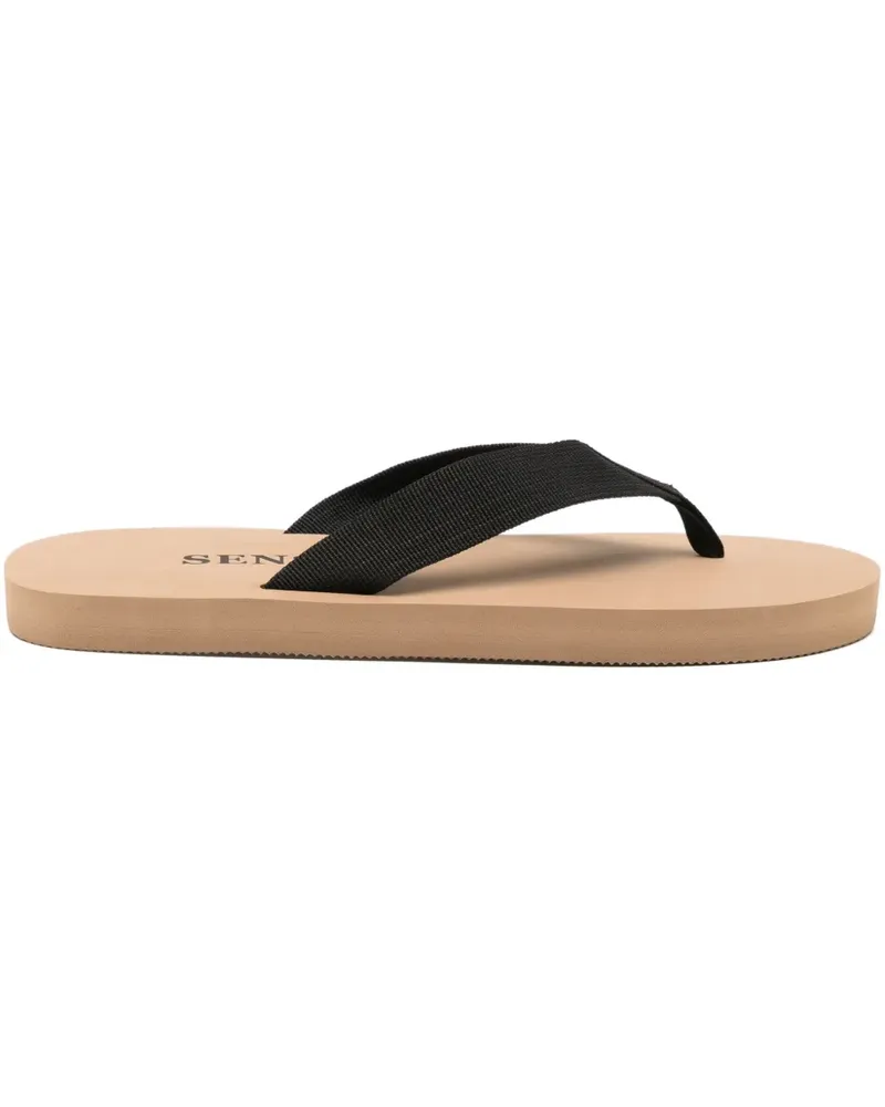 SENSO Kenny flip-flops - Braun Braun