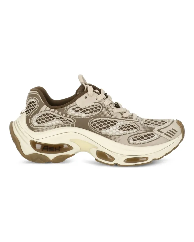 ash Dragon paneled sneakers - Nude Nude