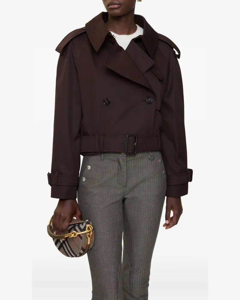 Burberry Jacke mit Gürtel - Braun Braun