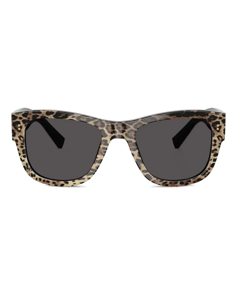 Dolce & Gabbana Eckige DG4338 Sonnenbrille mit Leoparden-Print - Schwarz Schwarz