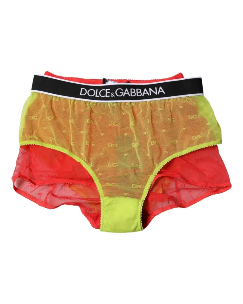 Dolce & Gabbana logo-waistband tulle briefs - Rot Rot