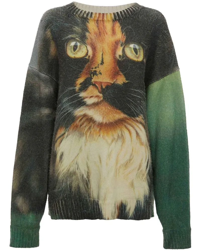 J.W.Anderson Pullover mit Print - Grün Grün