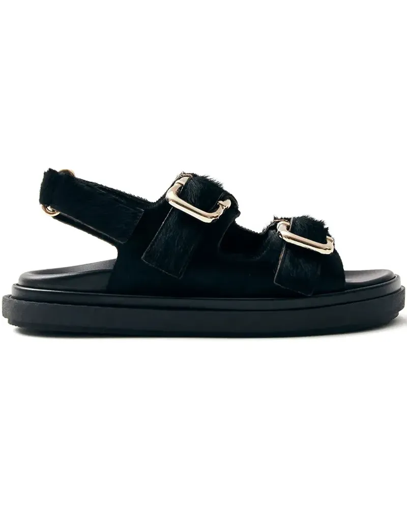 Alohas Harper Sandalen mit Doppelschnalle - Schwarz Schwarz