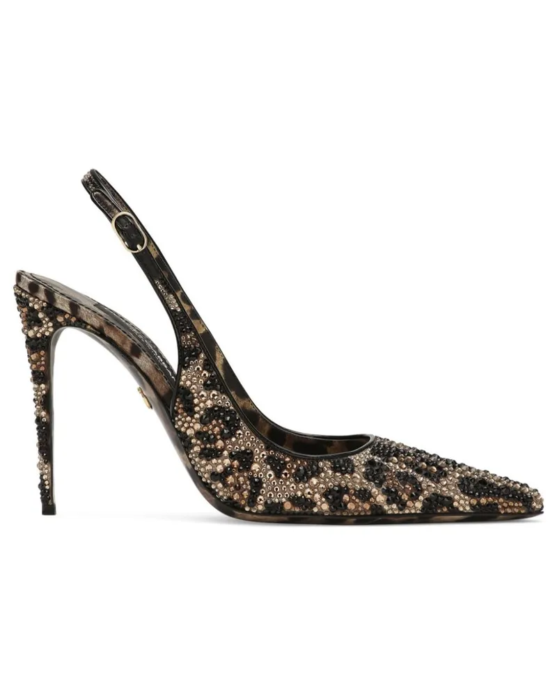 Dolce & Gabbana Pumps 105mm - Braun Braun