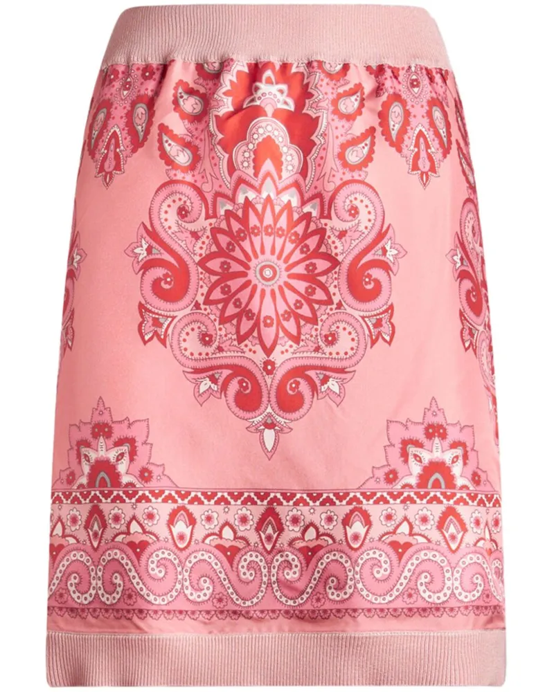 Etro Gestrickter Rock mit Print - Rosa Rosa